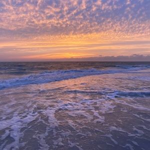 Meet your Posher, Paulina